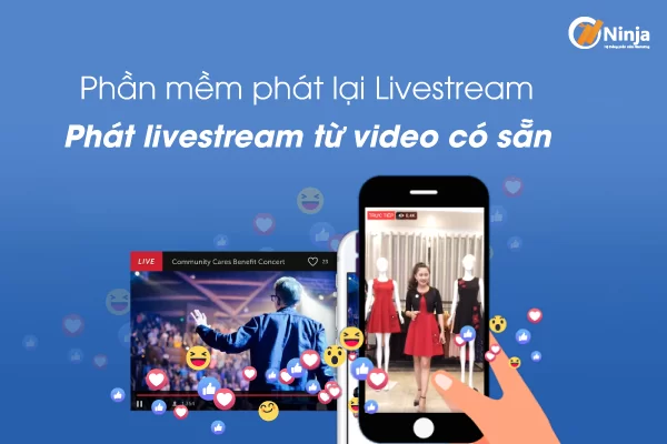 Công cụ phát lại livestream chuyên nghiệp